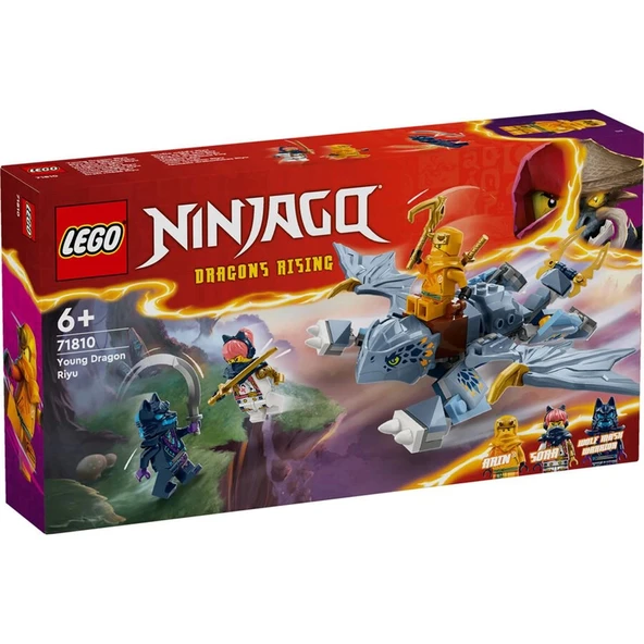 LEGO NINJAGO Genç Ejderha Riyu 71810 ürün görseli 1