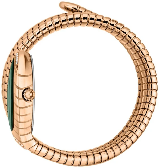 Just Cavalli JC1L248M0045 Kadın Kol Saati - Resim 3