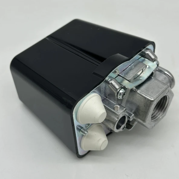 Etna Basınç Şalteri PA-4 1Bar - 8Bar  380V 1/2 - Resim 7