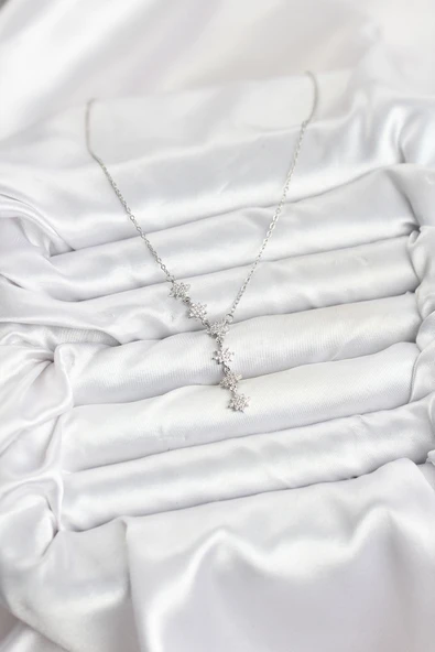 Zincir Gümüş Renk Kutup Yıldızı Model Kadın Kolye - EBJ251115W38400 - Resim 2