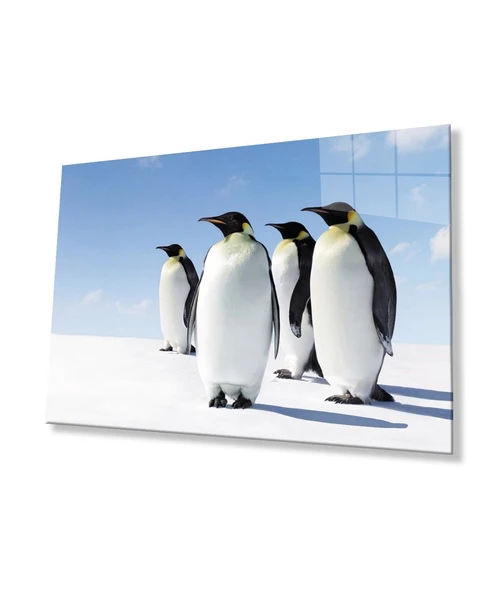 Penguen Hayvan Cam Tablo 4mm Dayanıklı Temperli Cam - Resim 6