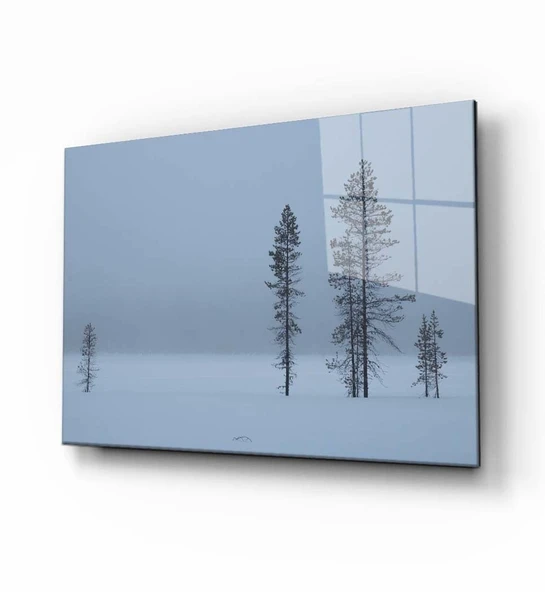 Doğa Manzara Cam Tablo 4mm Dayanıklı Temperli Cam - Resim 4