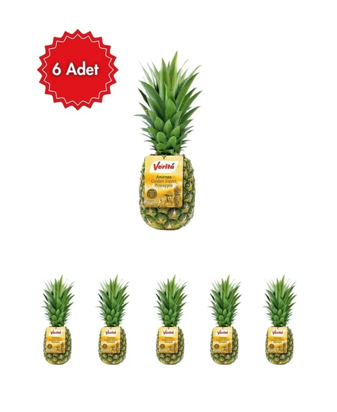 Verita Ananas 6'lı Avantaj Paketi (Taze & Sulu Tropikal Lezzet) ürün görseli 1