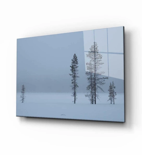 Doğa Manzara Cam Tablo 4mm Dayanıklı Temperli Cam ürün görseli