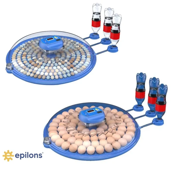 80/240 Kapasiteli Çift Viyollü Kuluçka Makinesi Kaz Ördek Tavuk Bıldırcın Kuşlar İçin ürün görseli 1