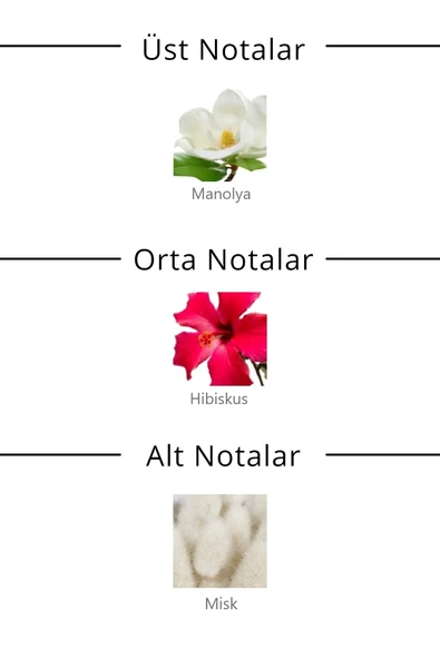 Bonita 30 ml Edt Kadın Parfüm Rpcn000603 - Resim 3