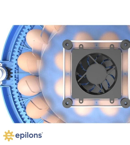 80/240 Kapasiteli Çift Viyollü Kuluçka Makinesi Kaz Ördek Tavuk Bıldırcın Kuşlar İçin - Resim 6