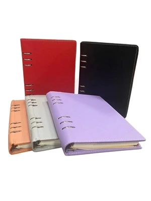 Lizy 17x24 Thermo Deri Organizerli Ajanda Aj5017 (2025) ürün görseli 1