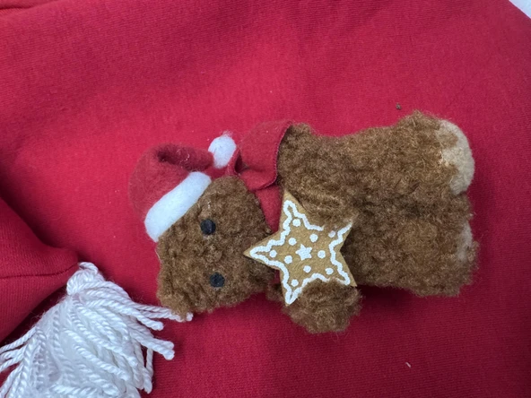 Teddy Amca Kırmızı Xmas Kedi Kıyafeti | Kapüşonlu Polar Noel Sweatshirt | Küçük Irklar İçin - Resim 7