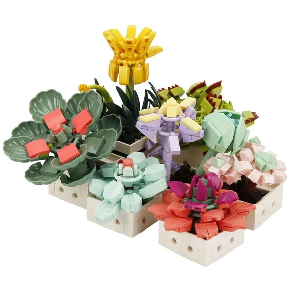 S00004685 BLX FLOWER SET SCULENT 971 PRÇ -SUN - Resim 2