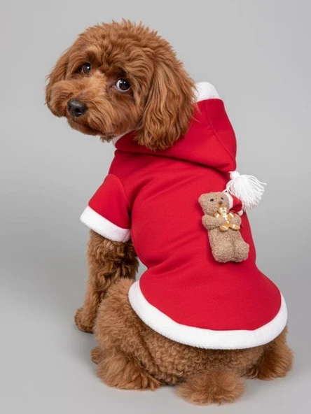Biscotti Bear Kırmızı Xmas Köpek Kıyafeti | Kapüşonlu Polar Noel Sweatshirt | Küçük Irklar İçin ürün görseli