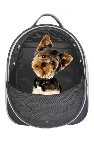 La Vista Yırtılmaz Fileli Paris Kedi, Küçük Köpek Sırt Taşıma Çantası Siyah 32-26-40cm - Resim 4