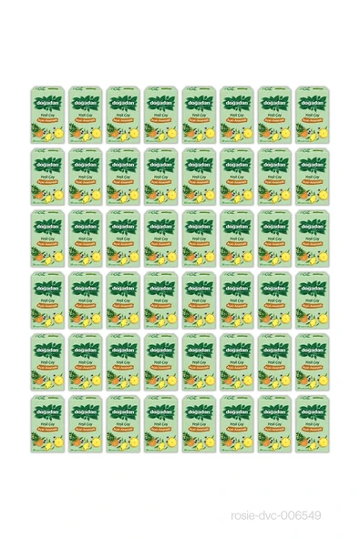 Doğadan Yeşil Çay Açai Ananaslı 48 AL 44 ÖDE ve Rosie Pamuk - Resim 2