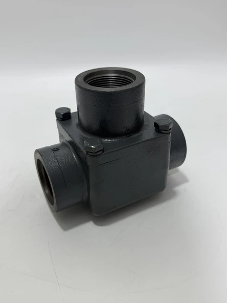 AN40B1-170 Termostatik Valf 170F 50775024-003 - Resim 2