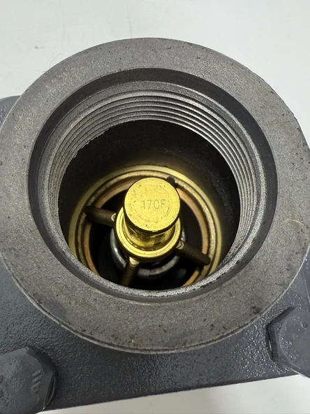 AN40B1-170 Termostatik Valf 170F 50775024-003 - Resim 4