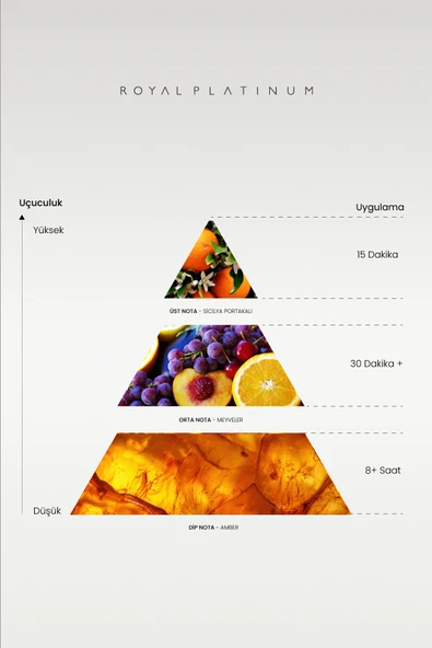 M575 ERKEK PARFÜM - Resim 2