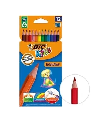 Bic Evo Silinebilir Kuruboya Kalemi 12 Li 987868 ürün görseli 1