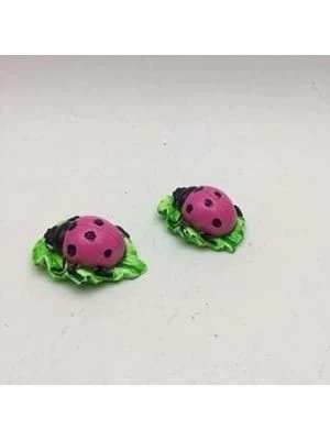 Sükseli Teraryum Objesi Uğur Böceği No:1 A50-b ürün görseli 1