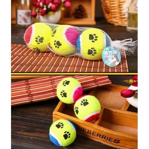 At Getir Köpek Eğitim Topu - Resim 2