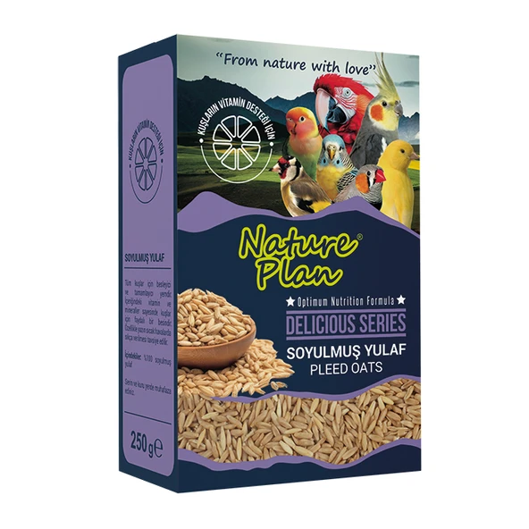 Nature Plan Delicious Serisi Soyulmuş Yulaf 250gr Skt:10/2027 ürün görseli