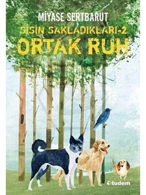 Sisin Sakladıkları 2 - Ortak Ruh - Tudem Yayınları ürün görseli 1