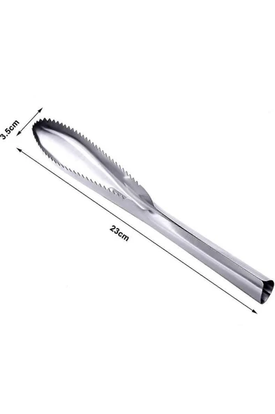 Balık Pulu Temizleyici Soyucu Kolay Balık Pul Derisi Temizleme Soyma Fırçası Bıçağı Çelik 23x3.5 cm - Resim 5