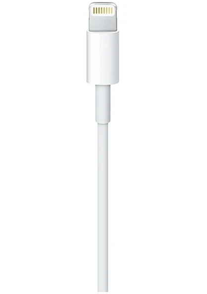 Apple USB-C - Lightning Kablosu (1 m) - MM0A3ZM/A - Resim 2