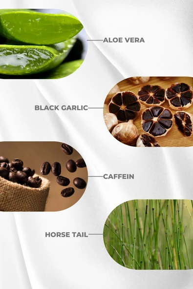 ZİGAVUS  TEKLİ 300 ML KURU SAÇLAR - Resim 5