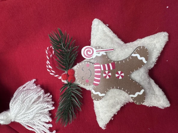 Yılbaşı Köpek Kıyafeti Yıldız Desenli Kırmızı Polar | Kapüşonlu Noel Köpek Kostümü | Küçük Irklar İçin - Resim 5