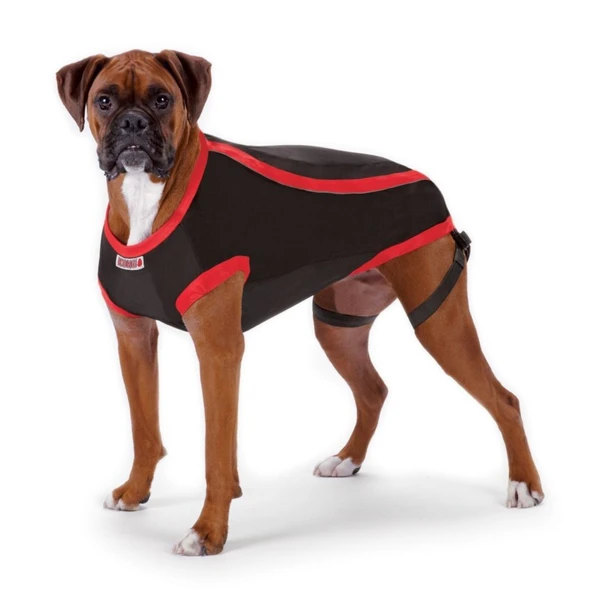 Kong Köpek Anksiyete Giderici Elbise XXL - Resim 3