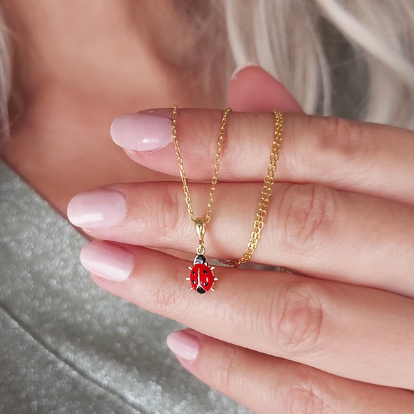 925 Ayar Gümüş Kırmızı Uğur Böceği Kolye - Resim 4