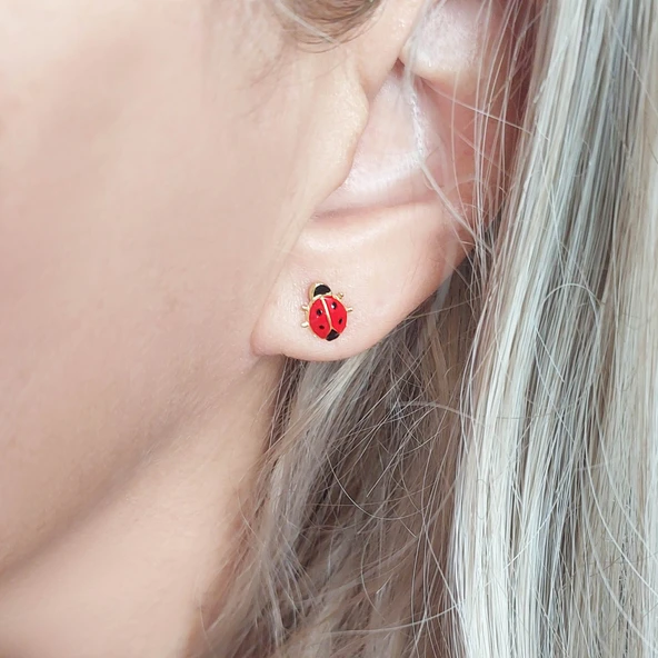 925 Ayar Gümüş Kırmızı Uğur Böceği Küpe - Resim 4