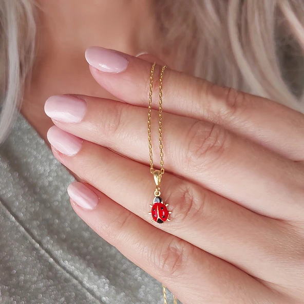 925 Ayar Gümüş Kırmızı Uğur Böceği Kolye - Resim 2