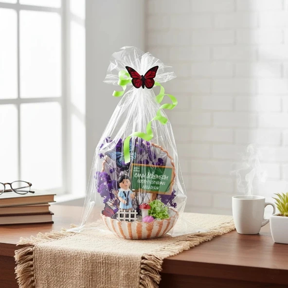 Mini Midye Teraryum - Öğretmenler Günü Hediyesi ürün görseli