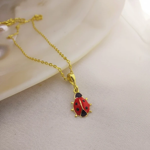 925 Ayar Gümüş Kırmızı Uğur Böceği Kolye - Resim 5