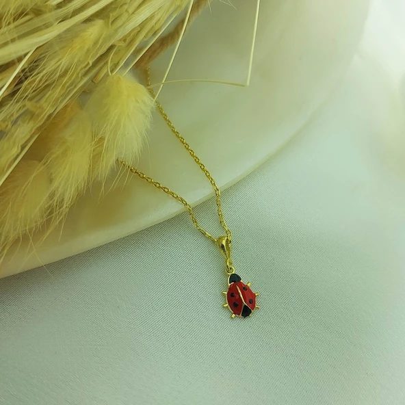 925 Ayar Gümüş Kırmızı Uğur Böceği Kolye - Resim 8