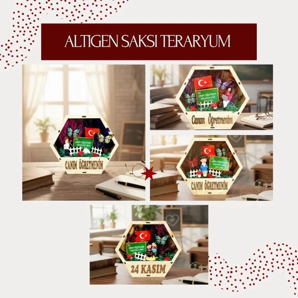 Altıgen Saksı Teraryum - Öğretmenler Günü Hediyesi - Resim 2