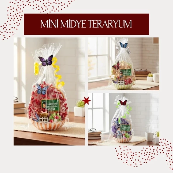 Mini Midye Teraryum - Öğretmenler Günü Hediyesi - Resim 2