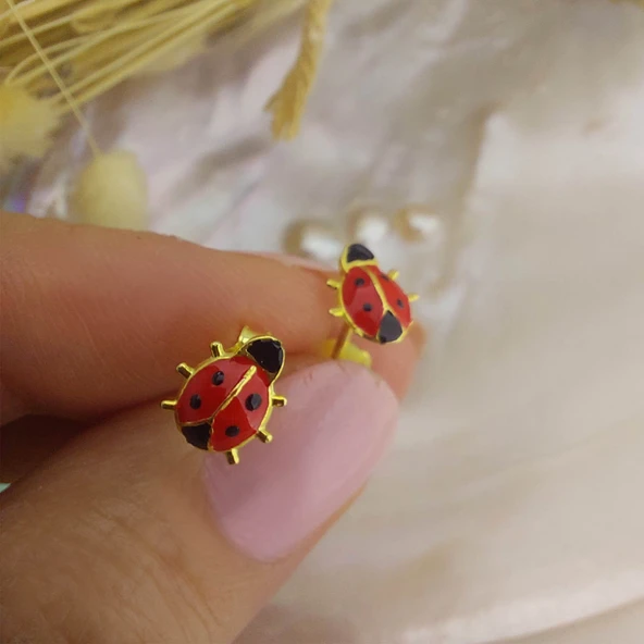 925 Ayar Gümüş Kırmızı Uğur Böceği Küpe - Resim 7