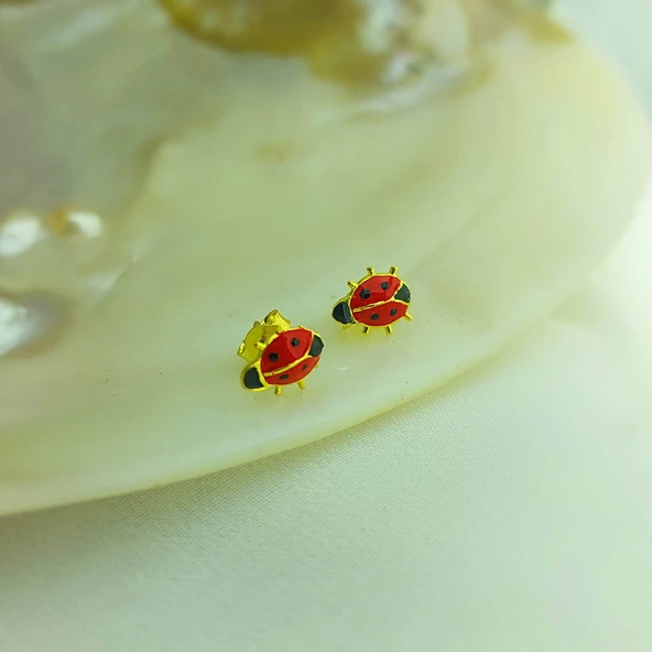 925 Ayar Gümüş Kırmızı Uğur Böceği Küpe - Resim 3