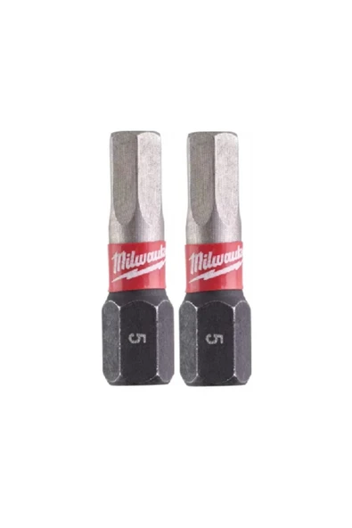 5x25 Mm 2 Parça Bits Uç Torx (T4932430896) ürün görseli