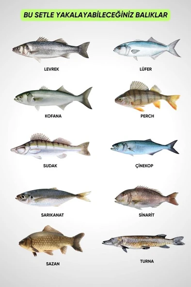 Spin At-Çek Deniz ve Göl Profesyonel Olta Seti Takımı - M - 1.50MT / 10-30GR - 42 Parça Elite - Resim 6