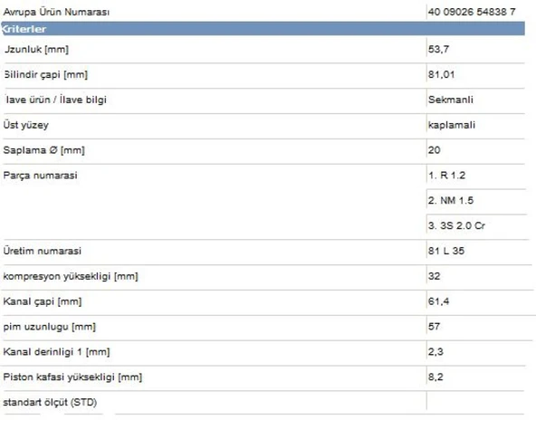 Vag Piston+segman (81,01mm Std) A3 A4 Cordoba İbiza Toledo Octavıa Golf III IV Beetle Passat Vento Akl A - Yenmak 31-04307-000 ürün görseli 1