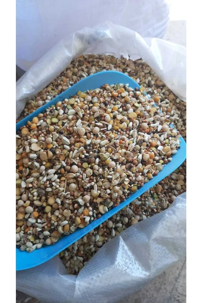 Karışık Güvercin Yemi 5 Kg ürün görseli