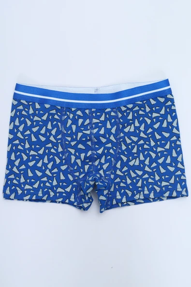 Toontoy Erkek Çocuk Hayvan Figürlü 4lü Paket Boxer - Resim 4