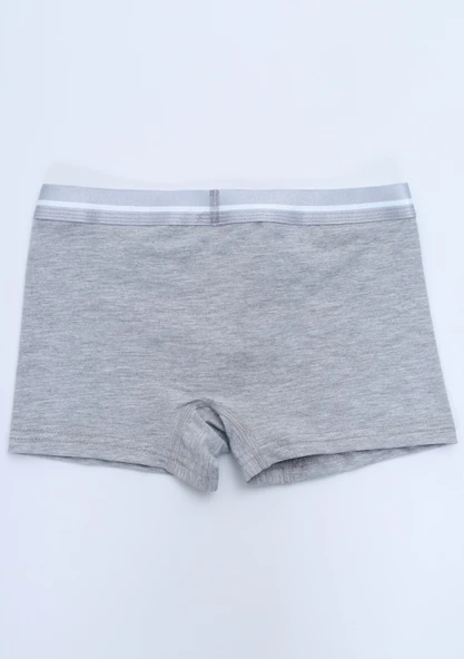 Toontoy Erkek Çocuk Hayvan Figürlü 4lü Paket Boxer - Resim 7