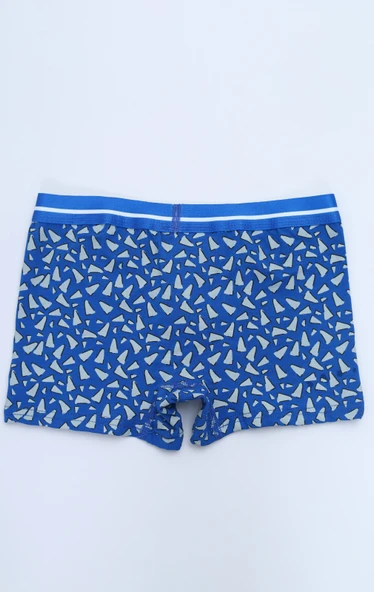 Toontoy Erkek Çocuk Hayvan Figürlü 4lü Paket Boxer - Resim 5