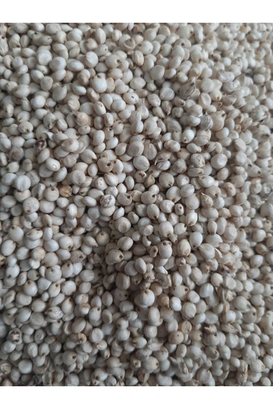 Güvercin Yem Beyaz Sorgun Yerlı (25kg) ürün görseli