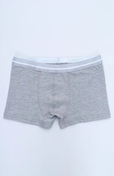 Toontoy Erkek Çocuk Hayvan Figürlü 4lü Paket Boxer - Resim 6