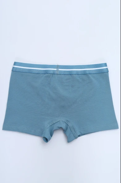 Toontoy Erkek Çocuk Hayvan Figürlü 4lü Paket Boxer - Resim 9